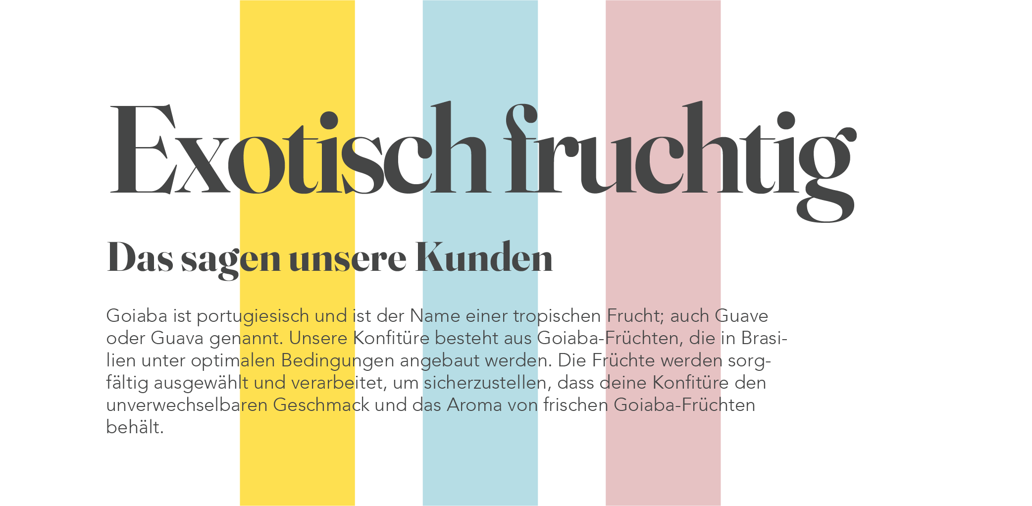 Die Schriftart soll das Exotische und Frische von DALU transportieren.